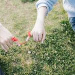 遠距離恋愛の寂しさ対策!!スカイプのつけっぱなしは有効?