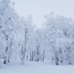 雪男と雪女の違いってなに?怖いのはどっち?結果はなんと…