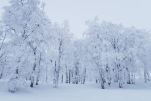 雪男と雪女の違いってなに?怖いのはどっち?結果はなんと…