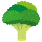 ブロッコリーは冷凍保存できる?冷凍保存の賞味期限と注意点