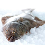 【驚愕】オヒョウってどんな味?刺身でも食べられる?食べ方と安全性