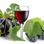 酒石酸の安全性や使い方は?身体にいい効果・効能はある?