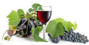 酒石酸の安全性や使い方は?身体にいい効果・効能はある?