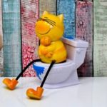 【驚愕】モンゴルのトイレ事情を徹底解説!衛生面や使い方は場所によって違う