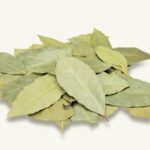 ローリエの効果・効能は?保存法やおススメの食べ方もご紹介