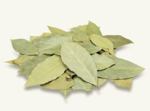 ローリエの効果・効能は?保存法やおススメの食べ方もご紹介