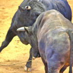 【保存版】「両雄並び立たず」ってどんな言葉? 意味と使い方を徹底伝授!