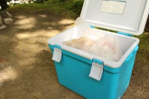 プラスチック保冷剤の捨て方は?正しい処分法で冷凍室内を断捨離!!