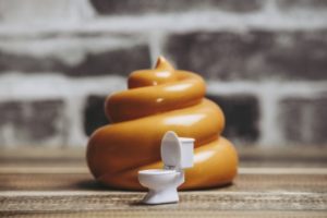 【必見】うんこの味は何味？苦いと言われるのはなぜ？食べた場合の人体への影響は？