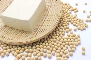 【必読】ハムスターに豆腐を食べさせても大丈夫?安全性を徹底解説!