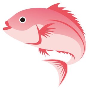 マッスルマダイってどんな味の魚？食べても安全なの？フードテックが未来の食を変える！