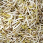 【驚愕】もやしの食べ過ぎで気持ち悪い・・・。その理由と対策は？